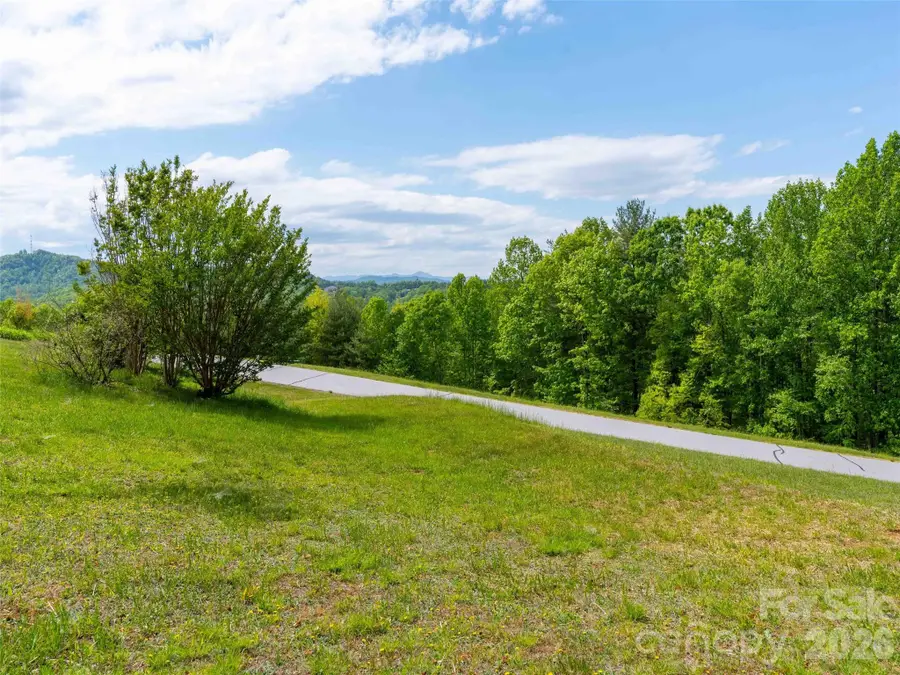 661 Whites Lake Boulevard, Saluda, NC 28773 - #3