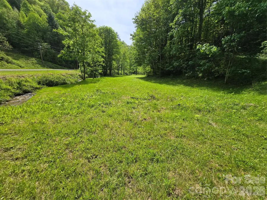 99999 Roaring Fork Road, Mars Hill, NC 28754 - #2