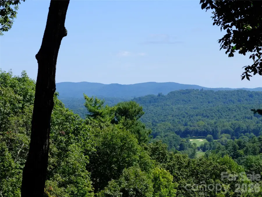258 Dalhousie Court, Flat Rock, NC 28731 - #2