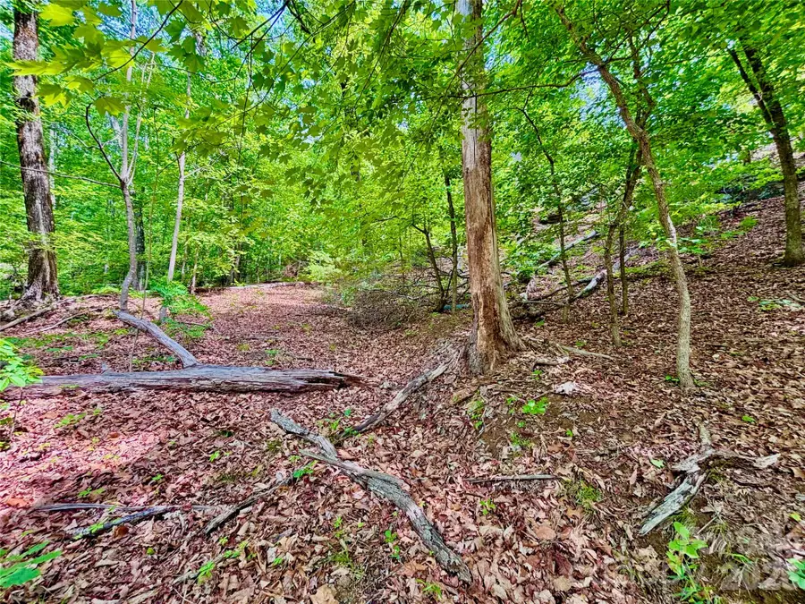 350 Springvalley Drive, Rutherfordton, NC 28139 - #2