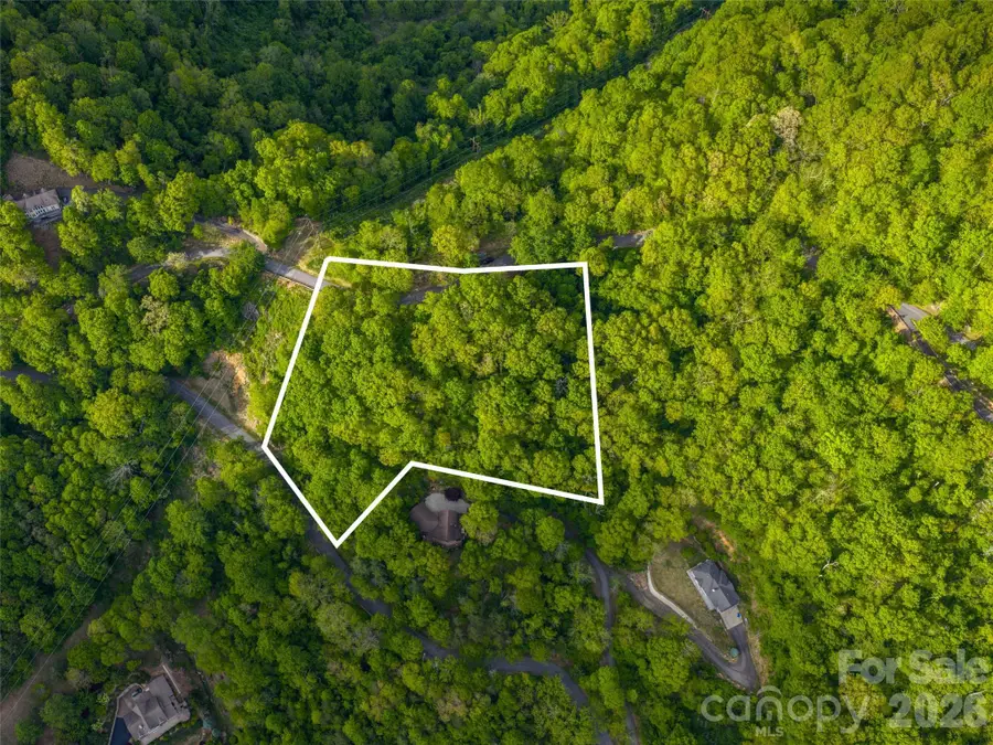 Lot 26 Fincher Mountain Road, Waynesville, NC 28785 - #3