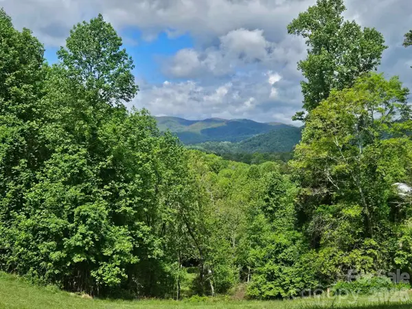 7 Hallaran Drive #PT 3, Marshall, NC 28753