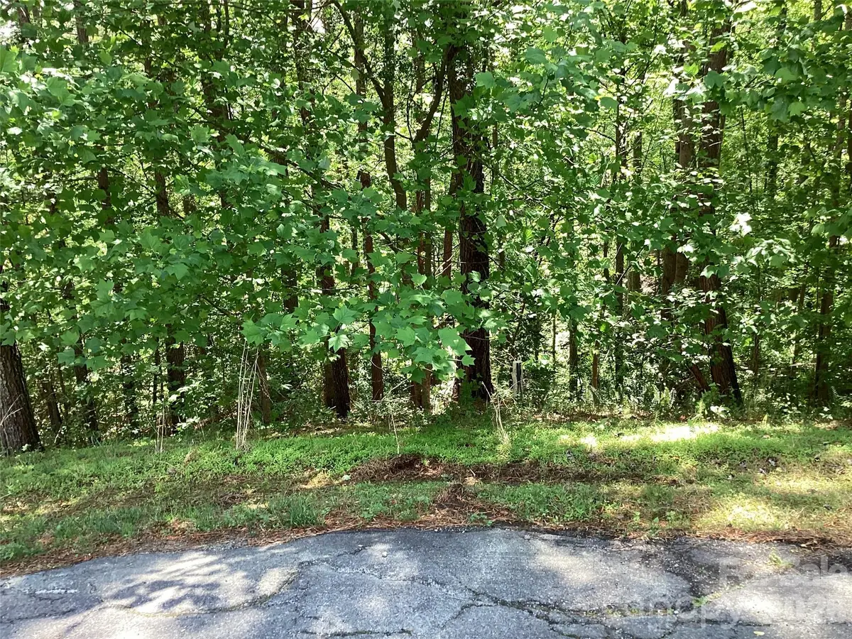 101 Pier Point Drive #67, Connelly Springs, NC 28612 - #1