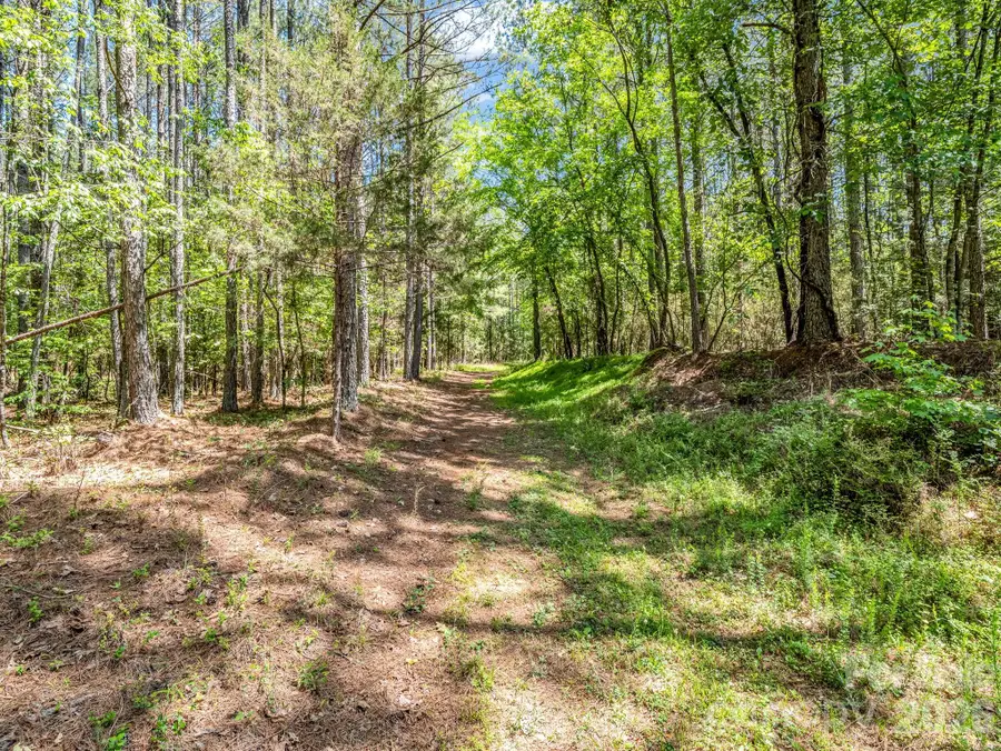 0 Jim Dobbins Road, Rutherfordton, NC 28139 - #2