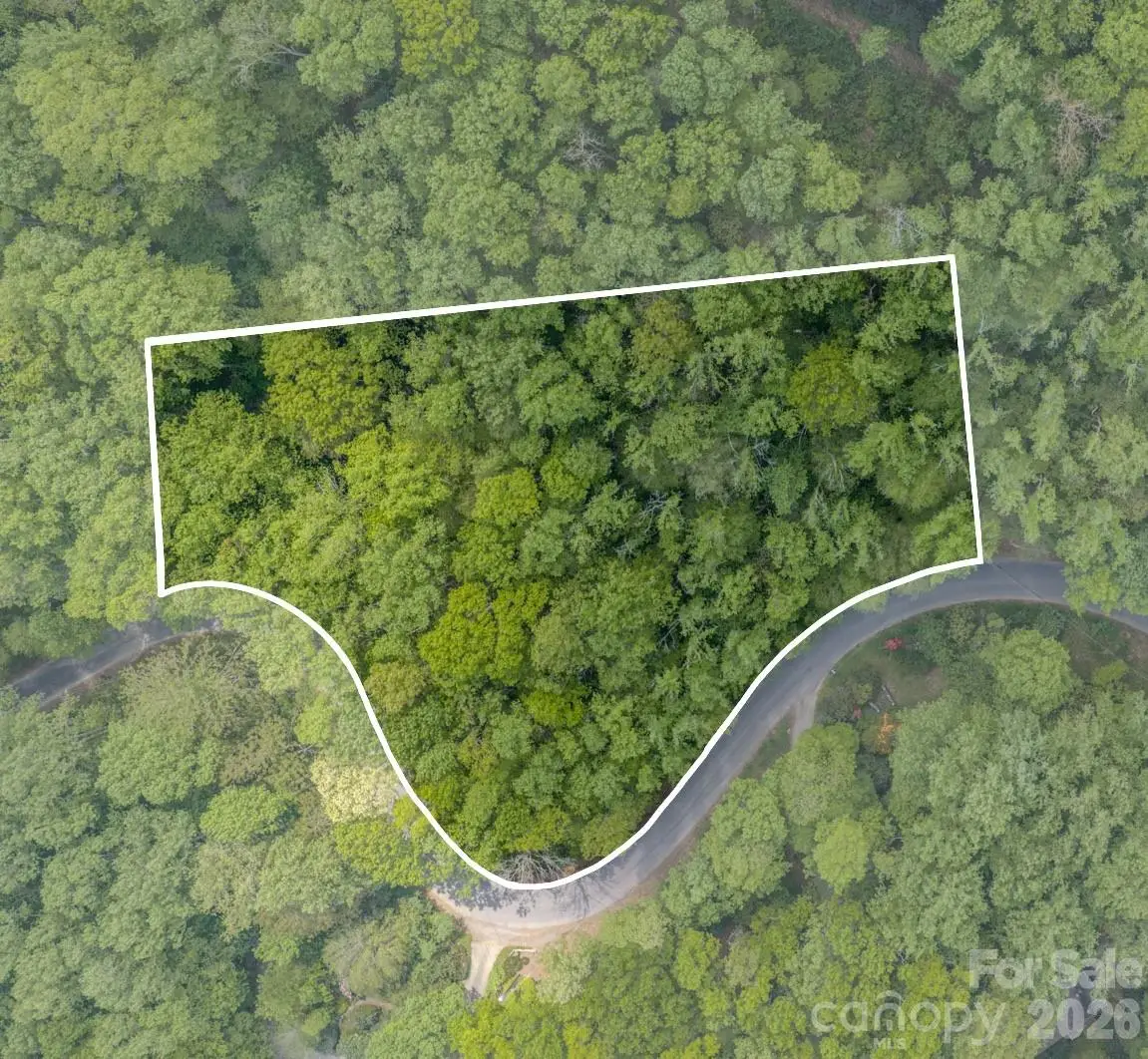 263 Mockingbird Road #2, Swannanoa, NC 28778 - #1