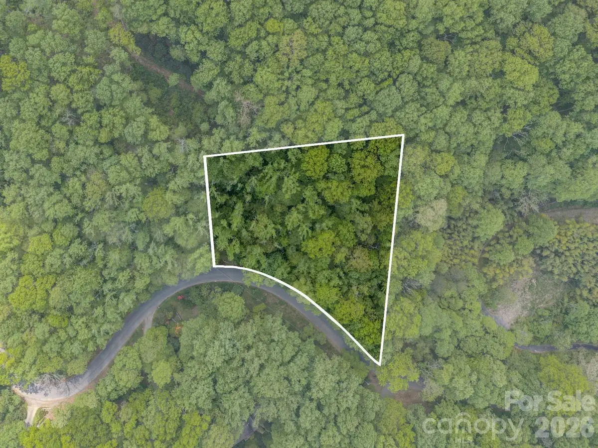 259 Mockingbird Road #1, Swannanoa, NC 28778 - #1