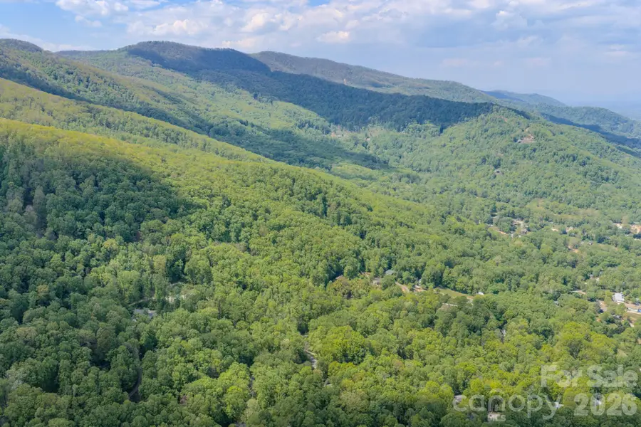 259 Mockingbird Road #1, Swannanoa, NC 28778 - #3
