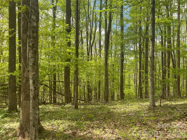 TBD Us 23 Highway, Mars Hill, NC 28754