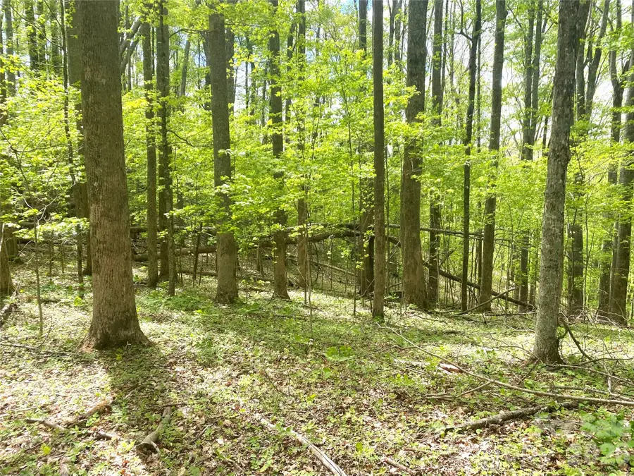 TBD Us 23 Highway, Mars Hill, NC 28754 - #2