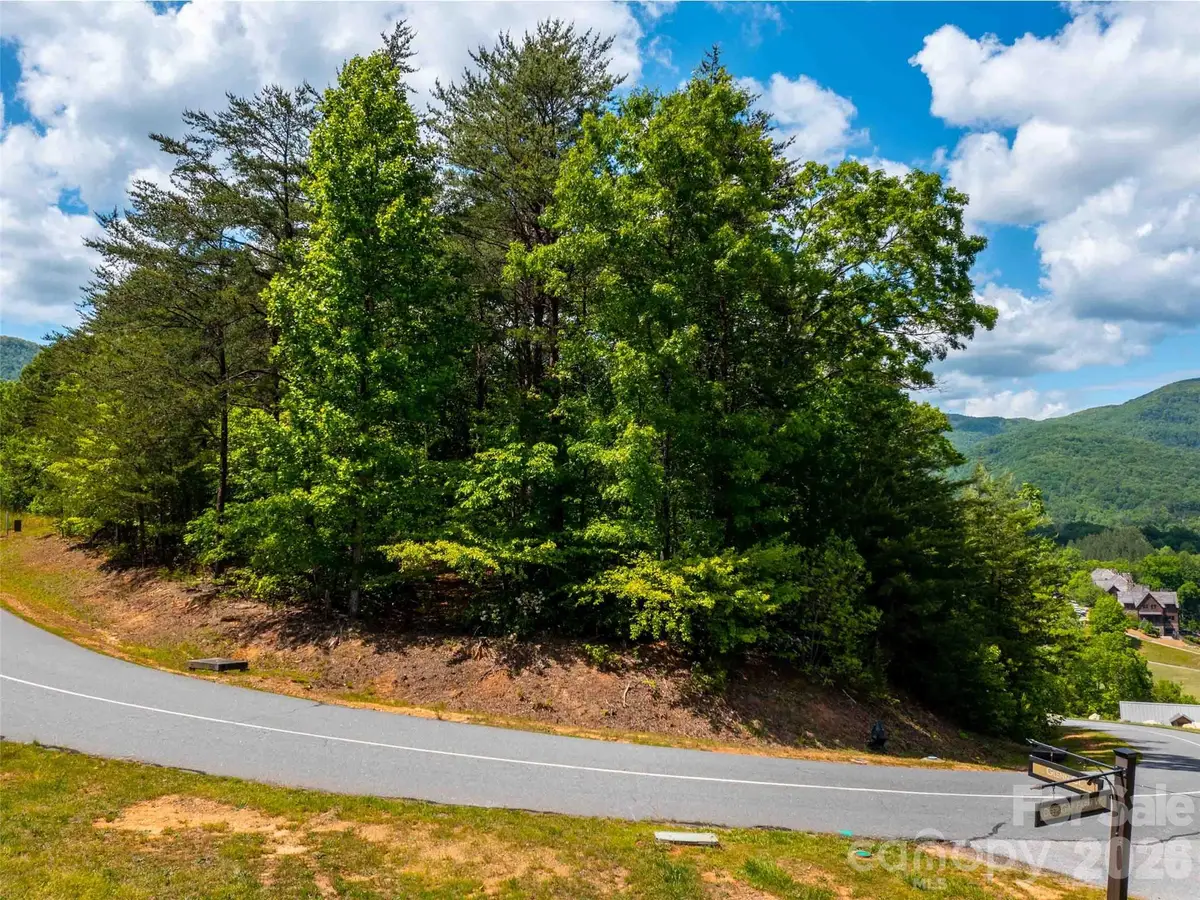 LOT 2012 Deep Gap Farm Road E, Mill Spring, NC 28756 - #1