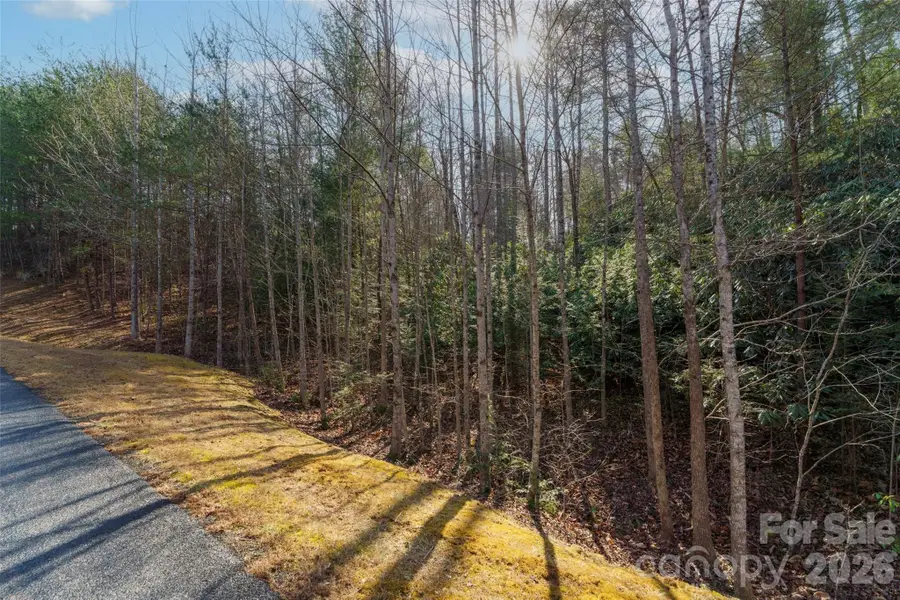 265 Harborside Drive #250, Nebo, NC 28761 - #3