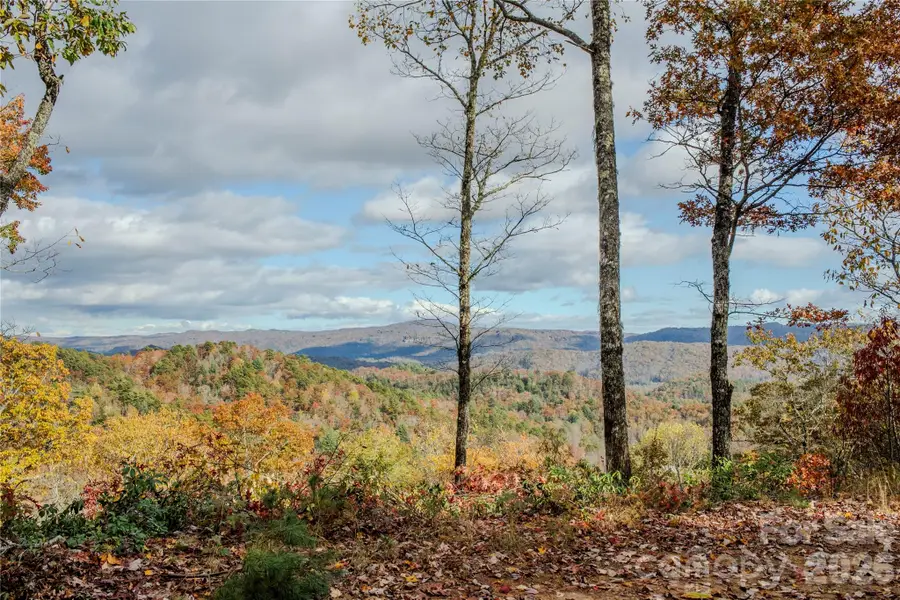195 Still Waters Lane, Brevard, NC 28712 - #2