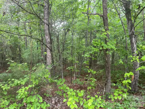 2426 Ore Bank Road, Smyrna, SC 29743