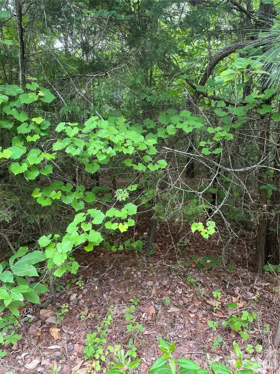 2426 Ore Bank Road, Smyrna, SC 29743 - #3