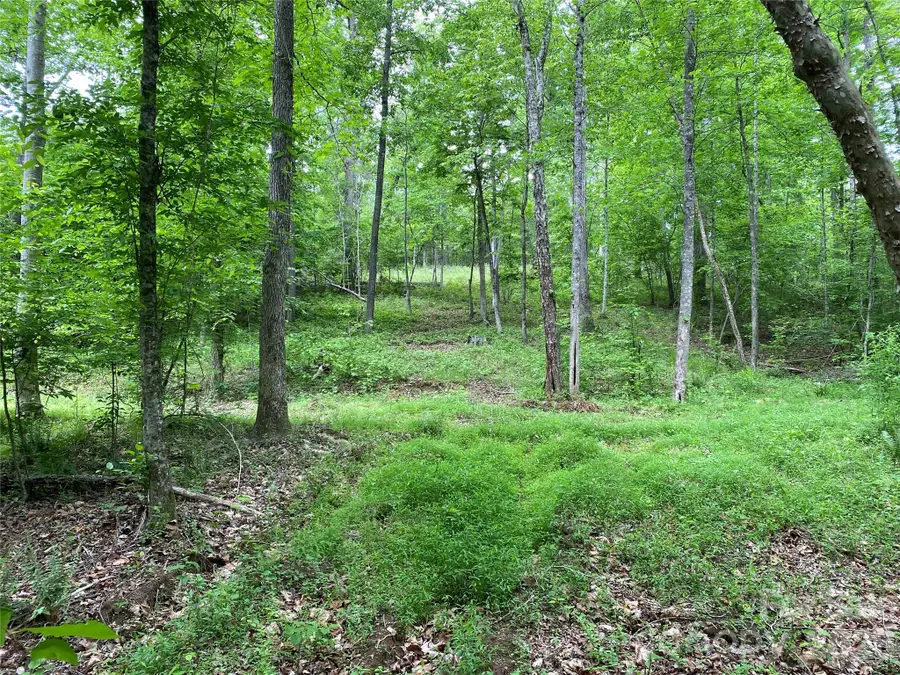 00 Kiser Road, Bostic, NC 28018 - #3