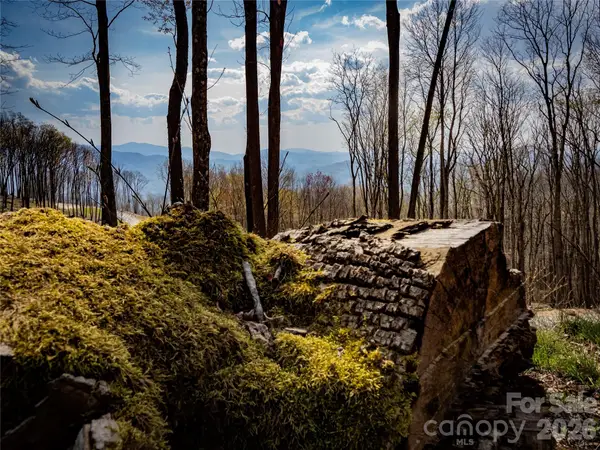 S-92 Talon Trail, Banner Elk, NC 28604