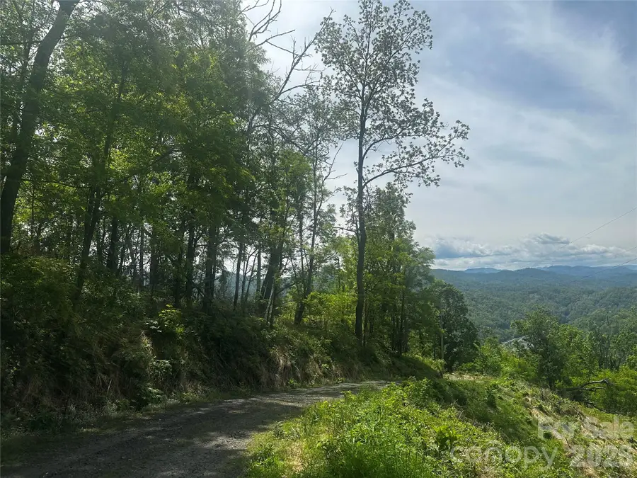00 John Sparks Road, Bakersville, NC 28705 - #3