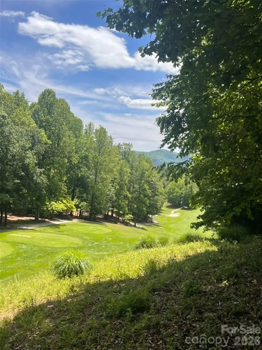 115 Bobby Jones Drive #45, Hendersonville, NC 28739 - #3