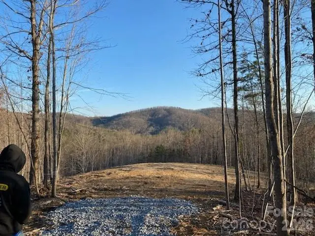0 Osprey Lane, Nebo, NC 28761 - #3