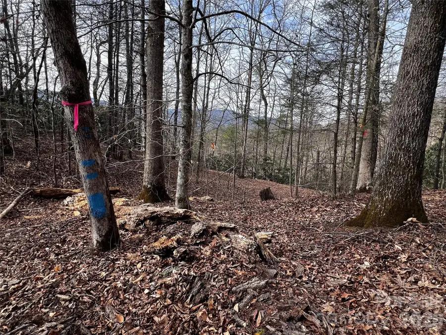 Lot 127 Bear River Lodge Trail, Marshall, NC 28753 - #3