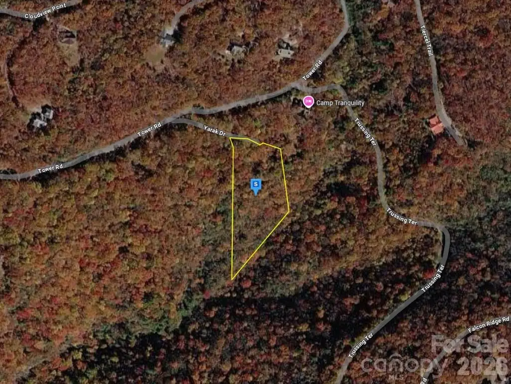 1650 Tower Road, Sapphire, NC 28774 - #1