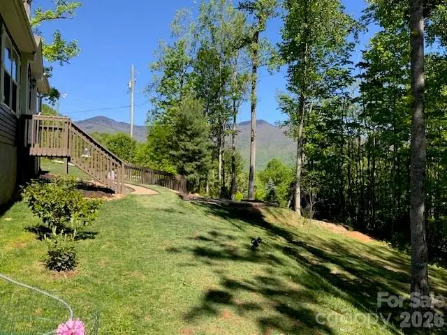 1205 Saunook Road, Waynesville, NC 28786 - #3