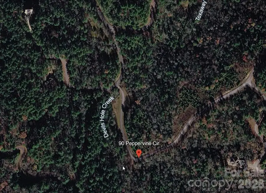Lot 90 Peppervine Circle #90, Eastatoe, NC 28712 - #3
