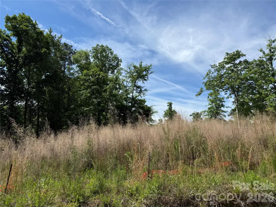 426 Morrison Farm Road, Troutman, NC 28166 - #2