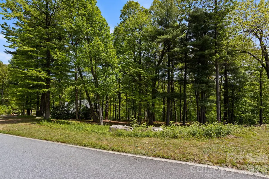 000 Hollybrook Drive #S-15, Flat Rock, NC 28731 - #3