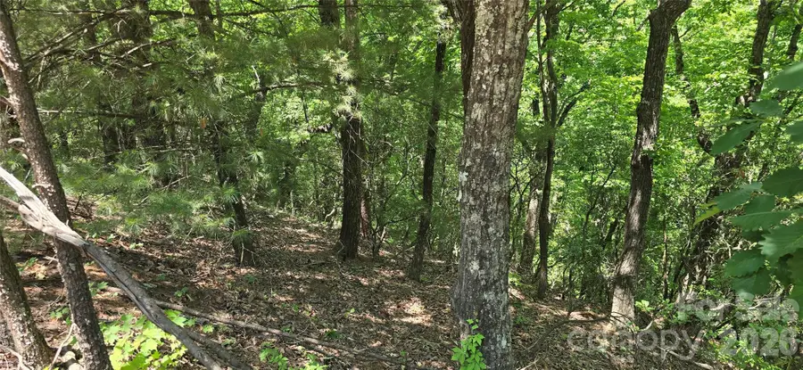 Lot 22B Pinnacle Parkway, Union Mills, NC 28167 - #3