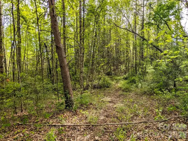 99999 Weldon Way, Fairview, NC 28730