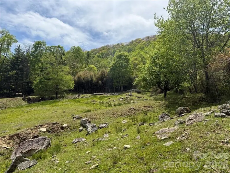 tbd Spice Creek Road, Banner Elk, NC 28604 - #3