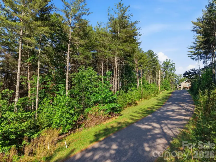 V/L Clear Water Way #95, Nebo, NC 28761 - #3