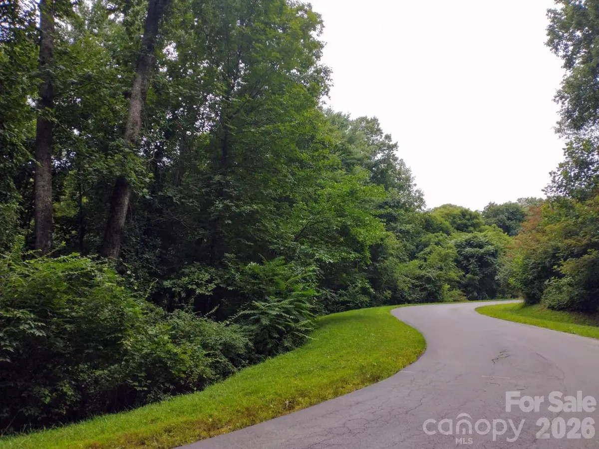 197 Starling Pass, Asheville, NC 28804 - #1