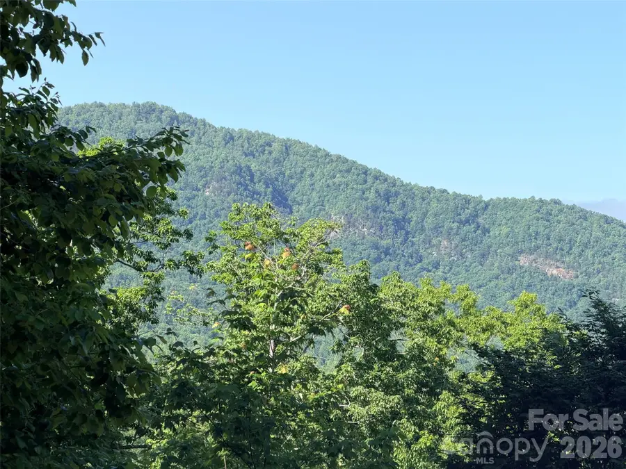 Lot 8 High Rock Ridge, Lake Lure, NC 28746 - #2