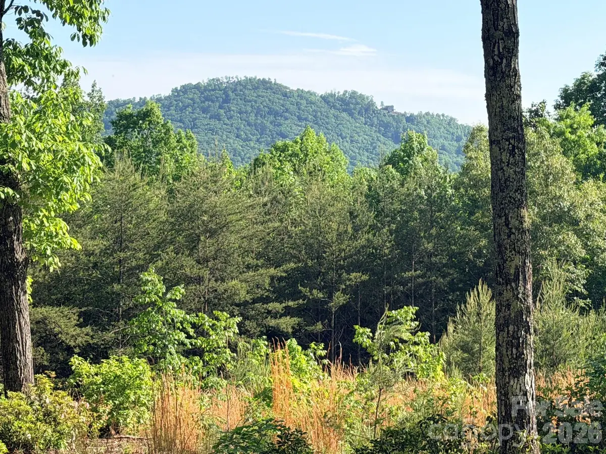 Lot 11 Brookside Parkway, Lake Lure, NC 28746 - #1