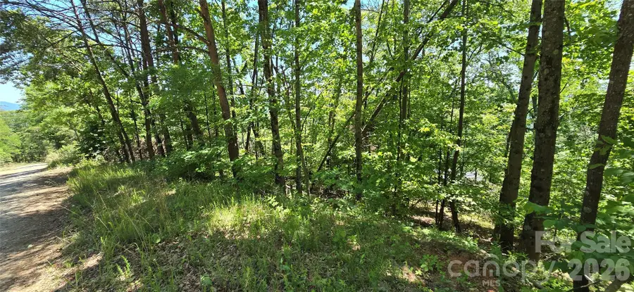Lot 7 Pinnacle Parkway, Union Mills, NC 28167 - #3