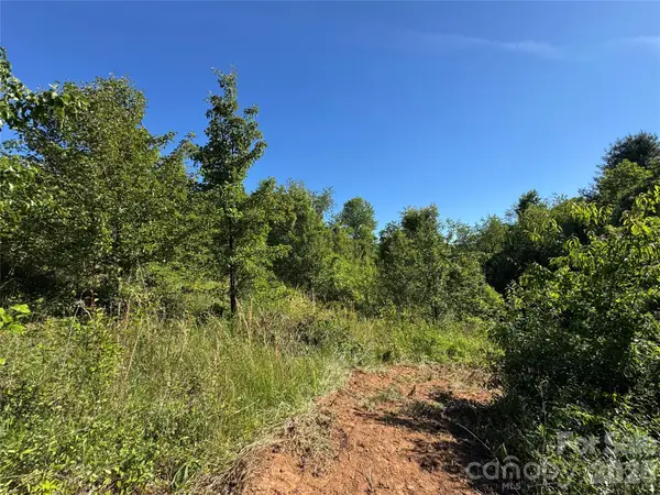 TBD Duckett Road, Candler, NC 28715