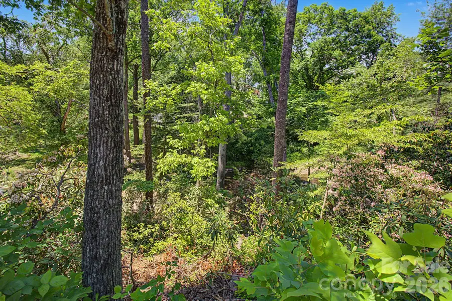 1355 Brookside Camp Road, Hendersonville, NC 28792 - #2