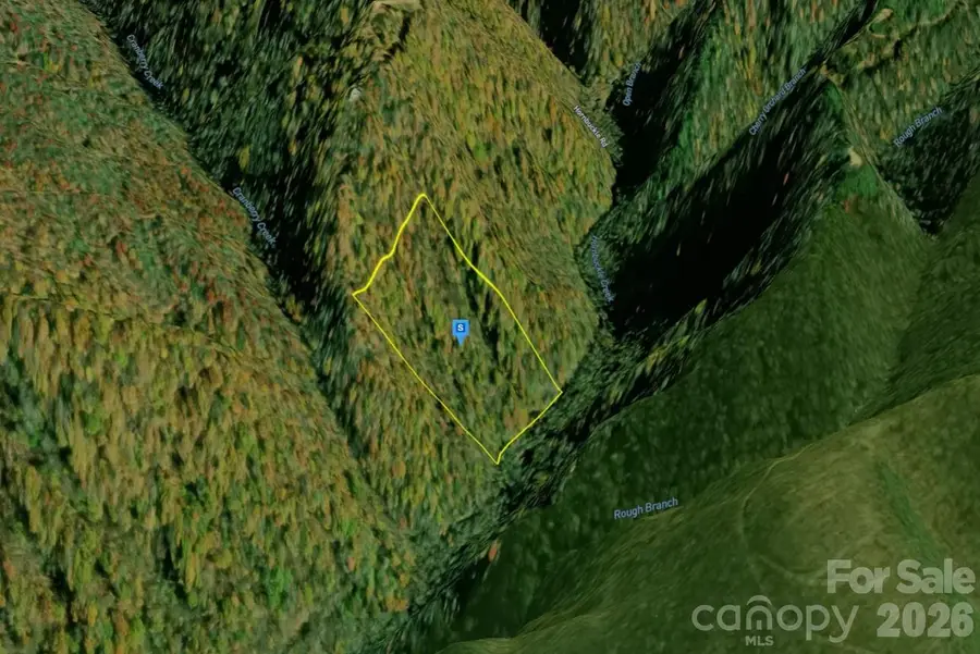 1448 Reservation Road, Maggie Valley, NC 28751 - #2