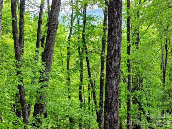 00 Hickory Springs Road #12, Burnsville, NC 28714