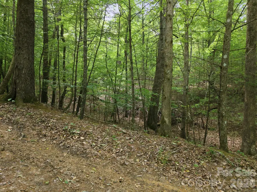 2411 Hundred Acres Lane, Lenoir, NC 28645 - #3