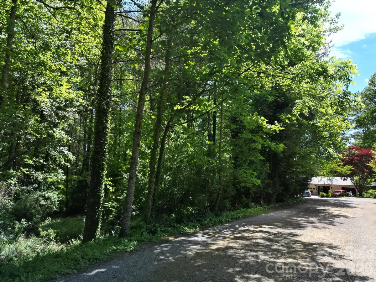 225 Country Lane, Brevard, NC 28712 - #1