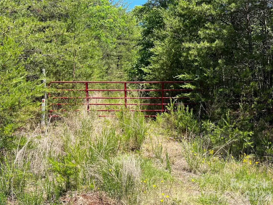 0 Luckadoo Mountain Road #177, Bostic, NC 28018 - #2