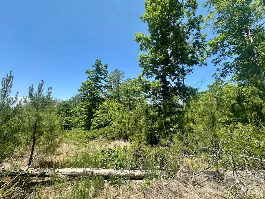 Lot # 200 Westward Drive, Granite Falls, NC 28630 - #2