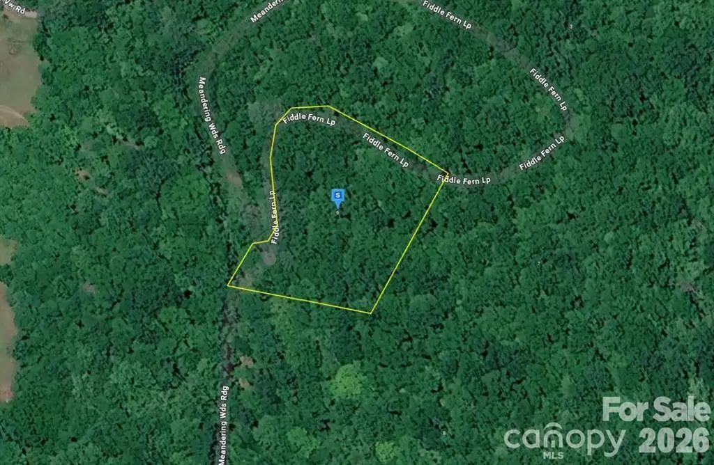 6 Fiddle Fern Loop, Sylva, NC 28779 - #1
