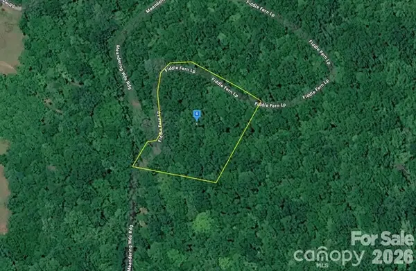 6 Fiddle Fern Loop, Sylva, NC 28779