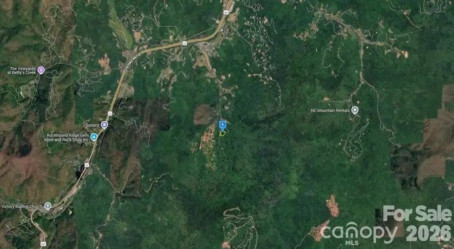 6 Fiddle Fern Loop, Sylva, NC 28779 - #3