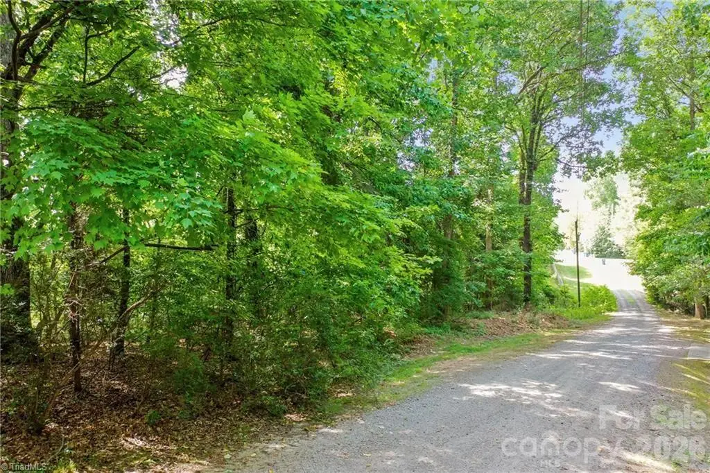 4446 Marion Drive, Terrell, NC 28682 - #1
