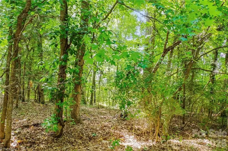 4446 Marion Drive, Terrell, NC 28682 - #2